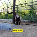 물동이 이고 가는 이미지