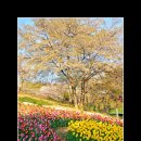 안산농원