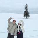 세븐일레븐동화마을 | 12월 삿포로 3박4일 여행코스 경비 요약정리! 겨울 해외여행지 추천