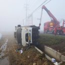 양평특수견 이미지