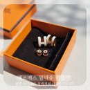 로즈화이트 | [리뷰] 에르메스 팝아슈 귀걸이 오리지널 기본 사이즈 (미니X), 블랑(화이트) + 로즈골드, 착샷 찐 후기