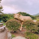 과역한우직판장