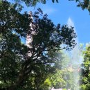 손바닥공원 농구장 | 드디어 낋여오다...홍콩2