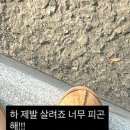 우리상도