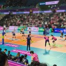 흥국생명빌딩 | [아이 동반] 25-26 인천 흥국생명 여자 프로배구 평일 직관 후기 (w/ 만 2살)(1층 VIP석 A2구역 5열)