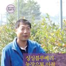싱싱농장 이미지