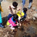 이루숲어린이집 이미지