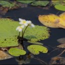 남생이못 이미지