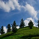 태백농원 이미지