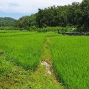 영천시임고면사리보건진료소 이미지