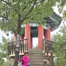 대전둘레산길(11구간) 이미지