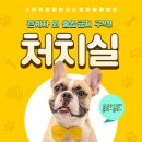 스마트 정형외과 신경외과 동물병원 이미지