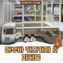 어부바낚시까페 | 둔산동키즈카페 어부바 무인키즈카페 &amp; 파티룸(내돈내산) 생일파티대관