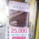 하루효소편백 이미지