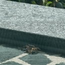 오동동109 이미지