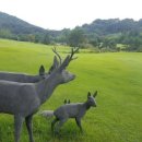 레이나호텔 이미지