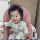 댕이맘마 이미지