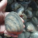 대합우체국 이미지