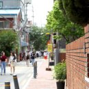 서울숲길 이미지