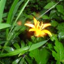 벌재농장 이미지