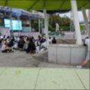 송정베스트의원 | NCT WISH 송버드 광주 공팬 공개팬싸 | 광주 비엔날레 개막식 홍보대사 | 출퇴의맛