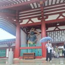 오사카 자유여행 Day4. 오사카 플리마켓 | 시텐노지벼룩시장 다녀온 후기
