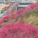 "산 그리고 바다" 28회차 정기산행 - 2024년 4월 13일 금강벼룻길, 잠두길, 강변, 수채화길 트래킹(전북 무주) 이미지