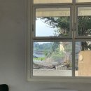 디어터틀(dear turtle) 이미지