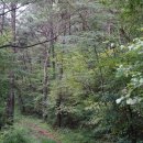 금곡9-14농로 | 마령치(402m) 마령산(610m) 예복산(564m) 불묘산(305m) 백호등(232m) 안태봉(303m) / 경북 청도