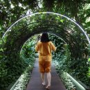 스페이스 헬스클럽 이미지