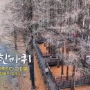 보글보글짜글이 이미지