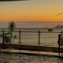 디 오아시 이미지