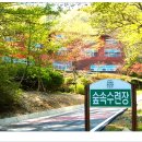 금원산 자연휴양림 이미지