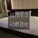 오리엔트호텔 | 아이랑 함께한 다낭 가성비 호텔 뉴 오리엔트 호텔 다낭 숙박, 조식 후기