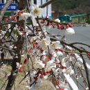 낙서면사무소 이미지