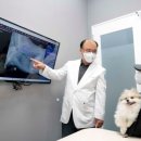 엑스테크메디컬 이미지