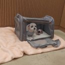 두유네 애견미용실 이미지