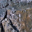 공룡 발자국화석지 이미지