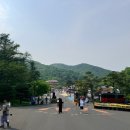 벨포레 놀이동산 솔직 후기: 놀이기구별 가격표와 사계절 썰매 튜브 무게의 명암