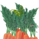 대동농약종묘사 이미지