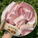 숙성도 인천송도점 이미지