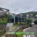 [통영 카페 추천] 예쁜 정원과 비주얼 폭발 플레이팅이 빛나는 아늑한 '돌샘길 카페' 솔직 후기