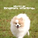 똥꼬발랄 이미지