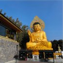 안덕면 명상 이미지