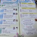 중랑천 | 2026 중랑천 서울 장미축제 후기!