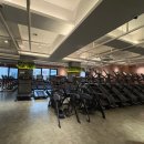 Leader Gym 이미지