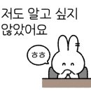 으뜸착한낙지 이미지