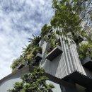 6978 | 말레시아 쿠알라룸푸르 숙소 추천 파크로얄컬렉션 어반 디럭스 킹룸, 조식 후기