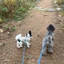 더위크앤리조트(더우프앤) 이미지