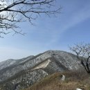 장수-11 이미지